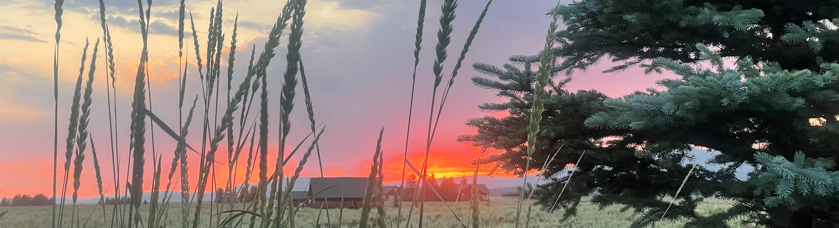 sunset22 HOA park in summer