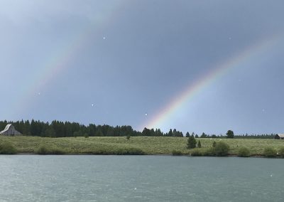 Island Park Reservoir rainbow