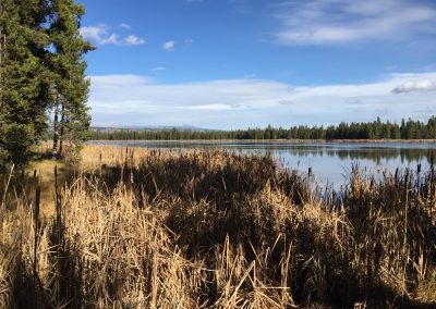 Harriman State Park